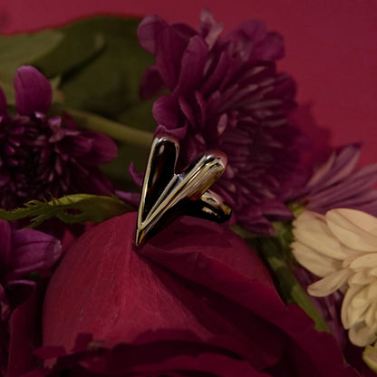 Jaan-e-Jaan Ring (Silver)