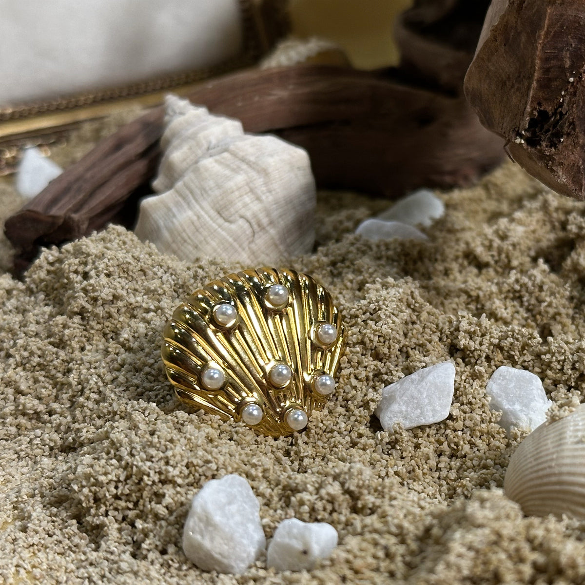 Scallop Shell Ring