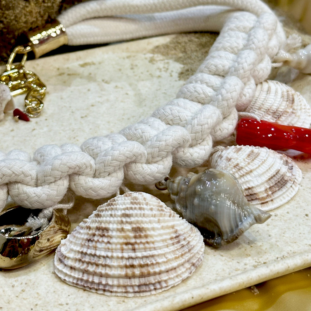 Seashell Set