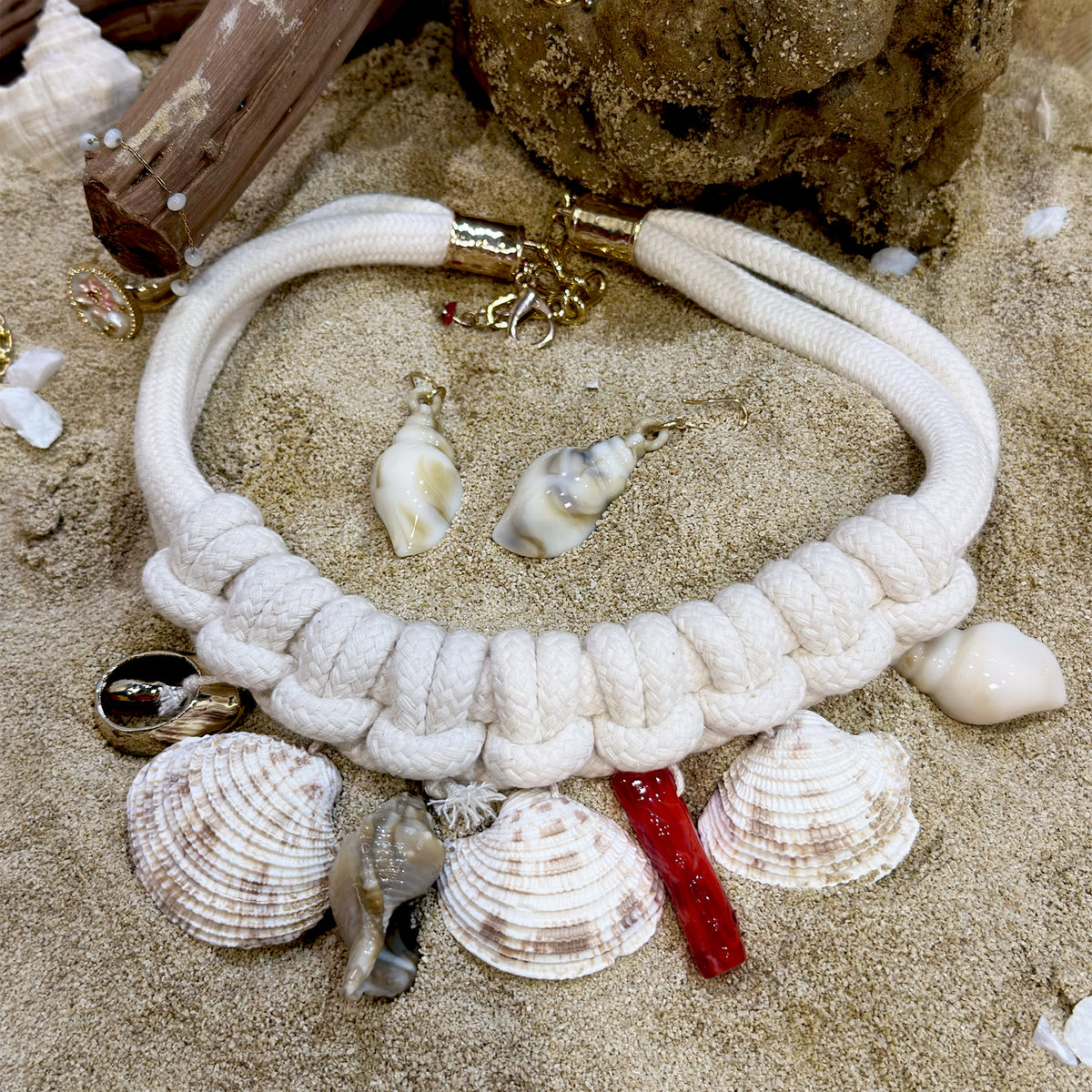 Seashell Set