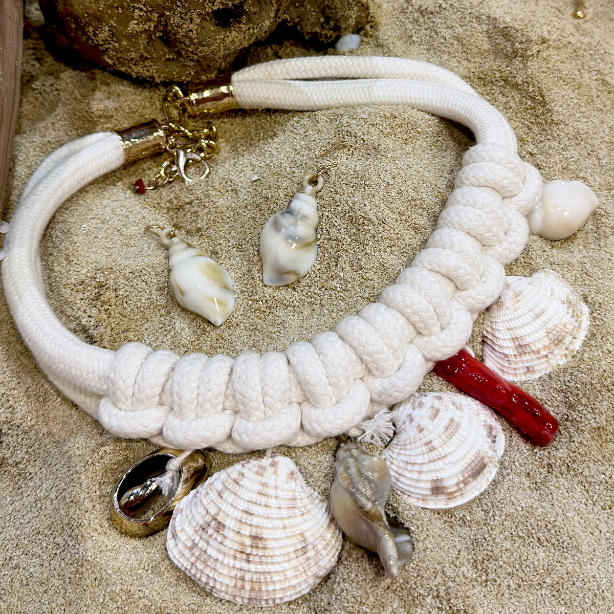Seashell Set