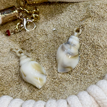 Seashell Set